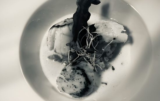 Landromede_plat_2.jpg